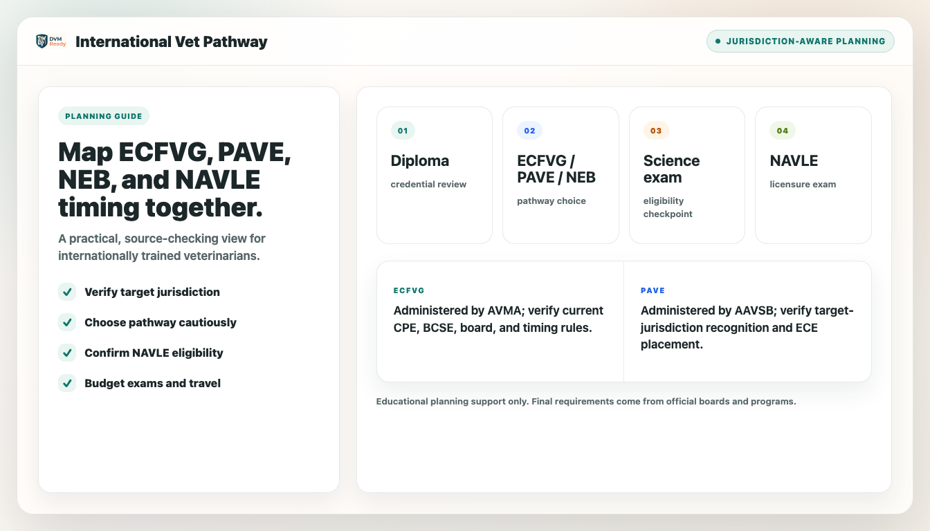DVMReady international veterinary pathway planning preview showing ECFVG, PAVE, NEB, and NAVLE timing checkpoints